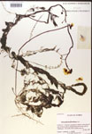 000019831-thumbnail.jpg