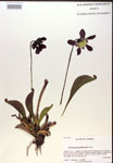 000019845-thumbnail.jpg