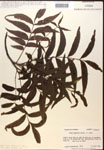 000019904-thumbnail.jpg
