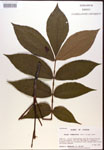 000019977-thumbnail.jpg