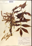 000019979-thumbnail.jpg
