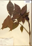 000019985-thumbnail.jpg