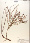 000020007-thumbnail.jpg