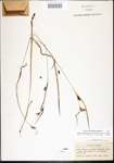 000020145-thumbnail.jpg