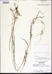 000020146-thumbnail.jpg
