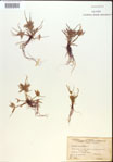 000020231-thumbnail.jpg