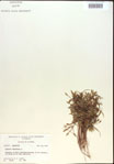 000020232-thumbnail.jpg