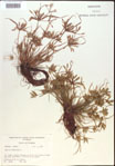 000020239-thumbnail.jpg
