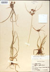 000020250-thumbnail.jpg