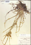 000020251-thumbnail.jpg