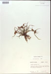 000020267-thumbnail.jpg