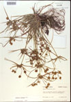 000020269-thumbnail.jpg