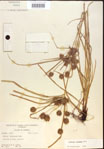 000020270-thumbnail.jpg