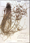 000020274-thumbnail.jpg