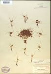 000020299-thumbnail.jpg