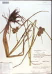 000020346-thumbnail.jpg