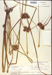 000020353-thumbnail.jpg