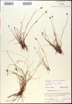 000020438-thumbnail.jpg