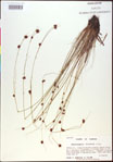 000020439-thumbnail.jpg