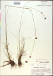 000020440-thumbnail.jpg