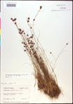000020443-thumbnail.jpg