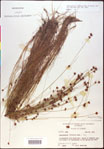 000020444-thumbnail.jpg