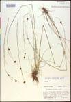 000020445-thumbnail.jpg
