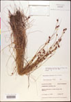 000020446-thumbnail.jpg