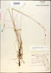000020448-thumbnail.jpg