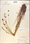 000020449-thumbnail.jpg
