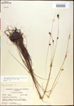 000020450-thumbnail.jpg
