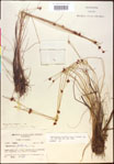 000020451-thumbnail.jpg