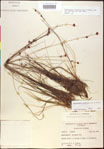 000020452-thumbnail.jpg