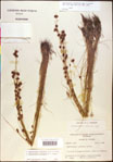 000020454-thumbnail.jpg