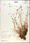 000020455-thumbnail.jpg