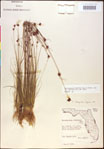 000020457-thumbnail.jpg