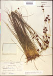 000020458-thumbnail.jpg