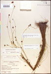 000020459-thumbnail.jpg