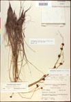 000020460-thumbnail.jpg
