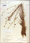 000020461-thumbnail.jpg