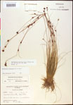 000020462-thumbnail.jpg