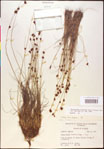 000020463-thumbnail.jpg