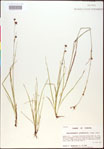 000020474-thumbnail.jpg