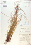 000020487-thumbnail.jpg