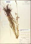 000020488-thumbnail.jpg