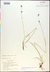 000020489-thumbnail.jpg