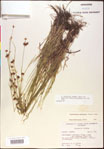 000020490-thumbnail.jpg