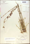 000020491-thumbnail.jpg