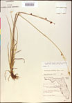 000020492-thumbnail.jpg