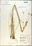 000020494-thumbnail.jpg